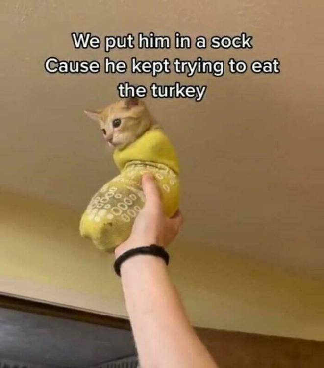 image.thumb.jpeg.4c518c92472e142ccb06dc18e00afe57.jpeg