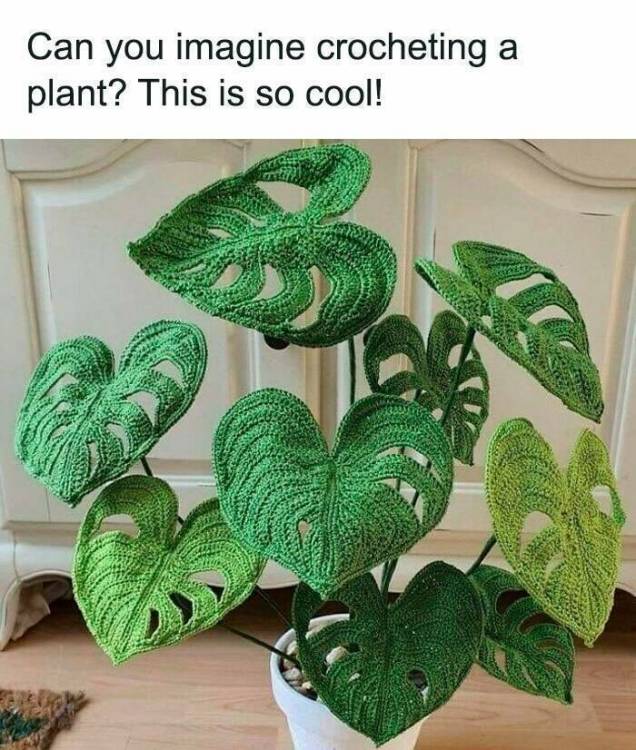 image.thumb.jpeg.7440394bd3dfe8493514e090859727c8.jpeg