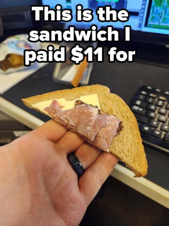 image.thumb.jpeg.866f37b231a0d83ac56913dca758f4ad.jpeg