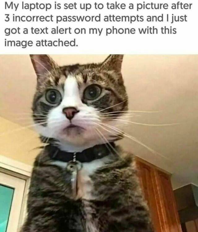 image.thumb.jpeg.a9f1a779c8174737ef95ee358110ad64.jpeg