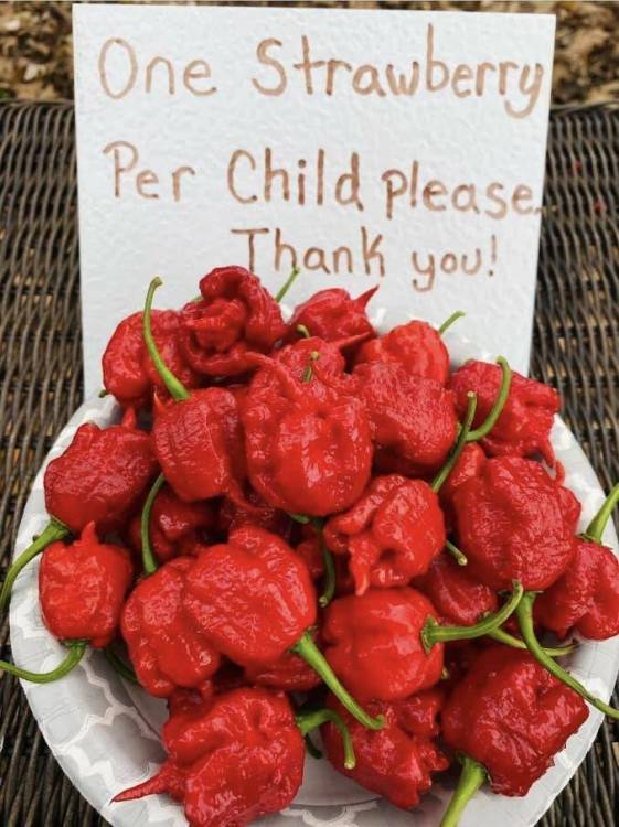 image.thumb.jpeg.f0bf984ce361ce30611781f16d98aced.jpeg