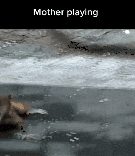 image.gif.2e8beb5a6df584522c4428bdfdc87800.gif