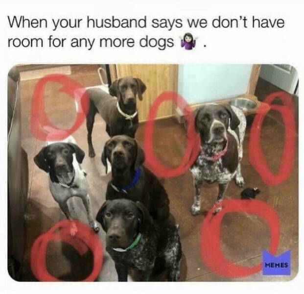 image.jpeg.25c9d46e6e3ebb030c671606b1e05cb7.jpeg