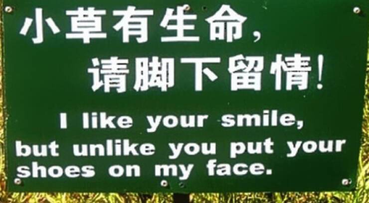 image.jpeg.86944017567e74ec2567f8d51f6823b4.jpeg