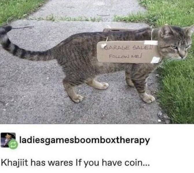 image.jpeg.8d51cab849b801d0f86fc52a1c44e4f4.jpeg