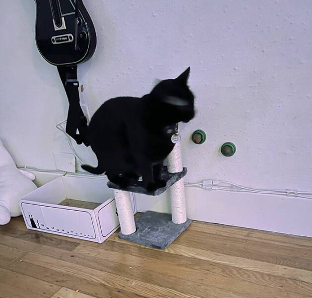 image.jpeg.cb8e4f5f4dfb429539639a14fab62d0e.jpeg
