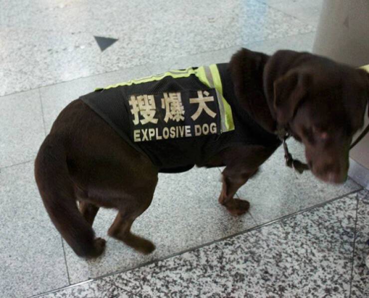 image.jpeg.d1664efa65d207ea2ad5a65b67ea089b.jpeg