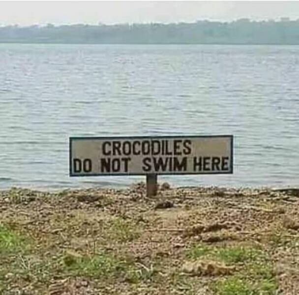 image.jpeg.d491b62efb58a03f250c00c64c924362.jpeg