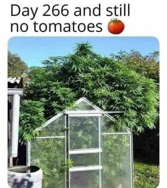 image.thumb.jpeg.3813b86c7d9cba7d84b66f2581fa9cf6.jpeg