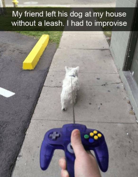 image.thumb.jpeg.783d8fdad695b198a9cb231bb6b4d7d4.jpeg