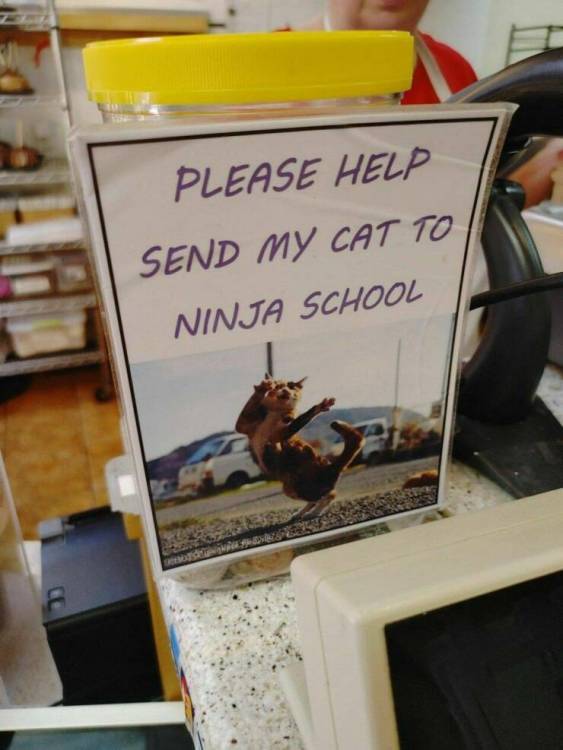 image.thumb.jpeg.cf4ea0a19daa5fa0b824d267c18e5683.jpeg