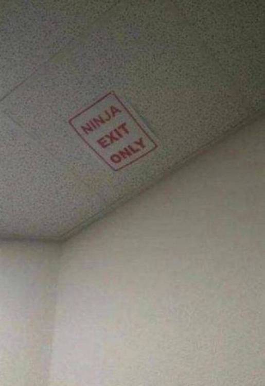 image.thumb.jpeg.ec69589387d8085c2eebc4f77ab71ae2.jpeg