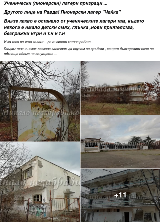 image.thumb.png.01d019b99d029bb9092bc3b4849a9e24.png