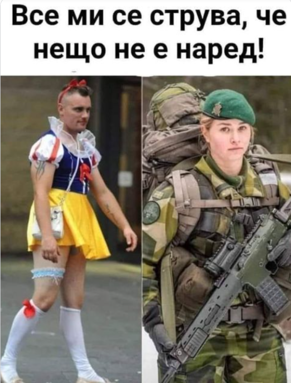 2024-06-27_14-36.png