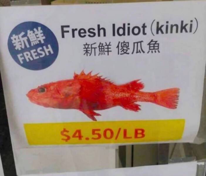 image.jpeg.866b52e9d2bfa9a00025b039962be194.jpeg