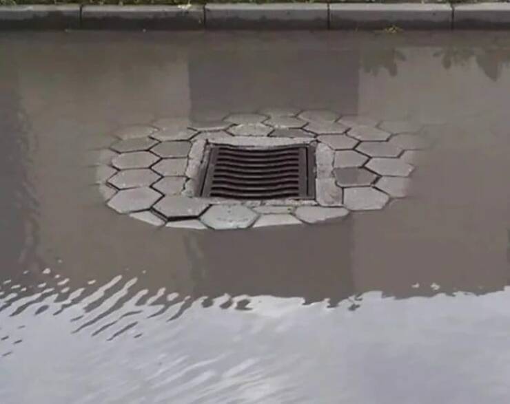 image.jpeg.e45ebc5a6ee039975965179c44d33768.jpeg