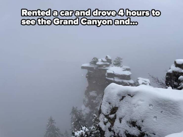 image.jpeg.e782051f357dcb8a356bcee57090c1ef.jpeg