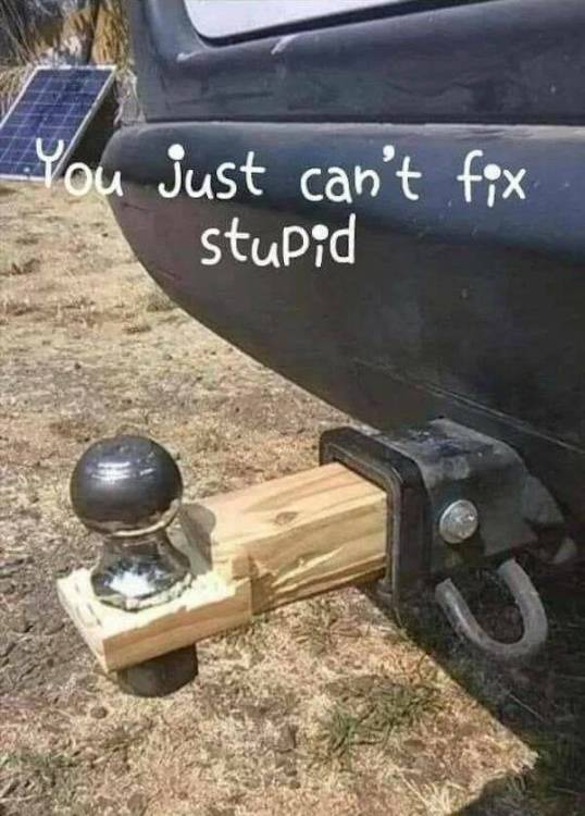 image.thumb.jpeg.07c8ff3c8ae4e057849d189116d6a60b.jpeg