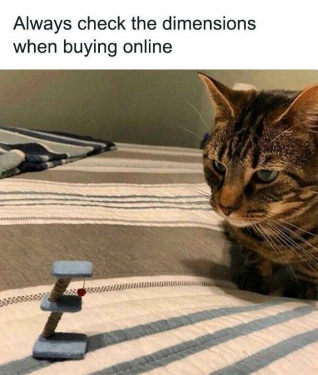 image.thumb.jpeg.293c0eefc7fa36cb22b1e8cb74730a4f.jpeg