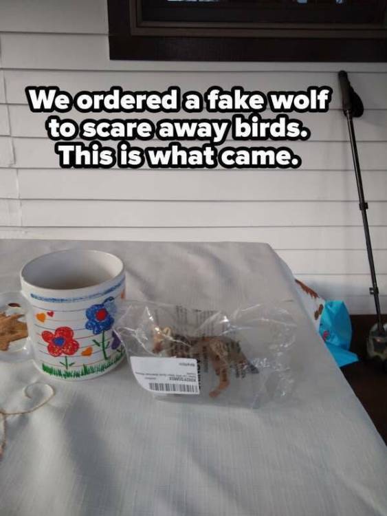 image.thumb.jpeg.60ee50d6dbad9c4def8a5a8e36fd0f7b.jpeg