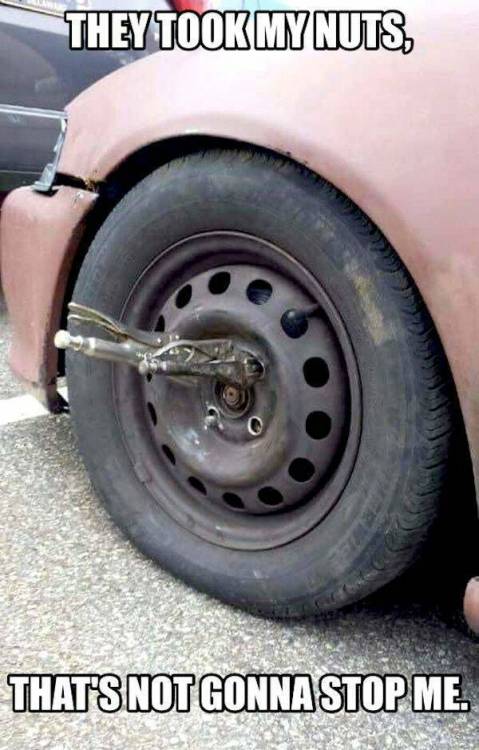 image.thumb.jpeg.6da3736affb9066503f23a1665eefa1e.jpeg