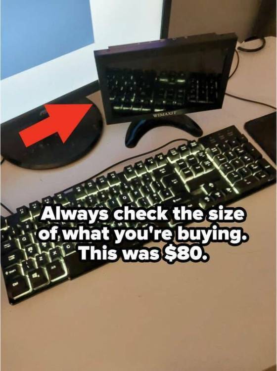 image.thumb.jpeg.877e2a259cdc4d6d021c476e6c63ee12.jpeg