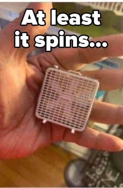 image.thumb.jpeg.c6de2a23acd4f5cc9e3b988e5ef39364.jpeg