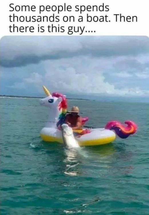 image.thumb.jpeg.d982a024664f9ec4e569028d6cf731ae.jpeg