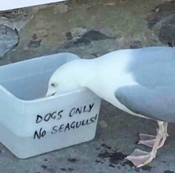 image.jpeg.6cc38840d98741c739d3771df1b889fc.jpeg