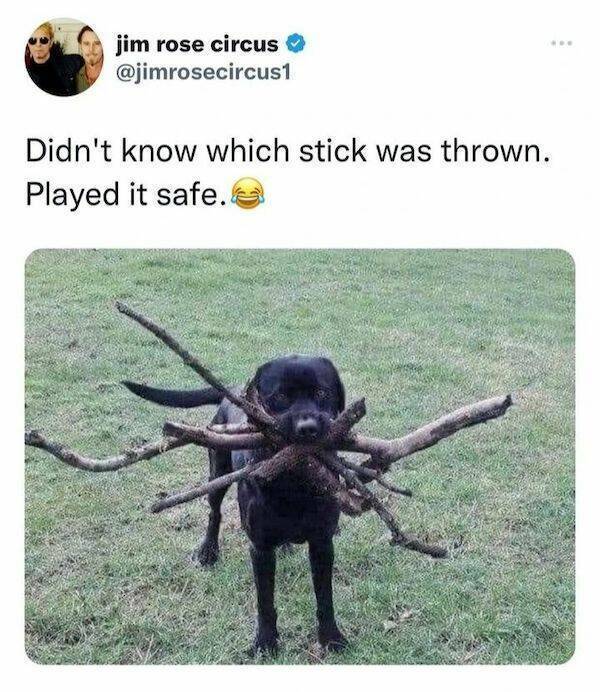 image.jpeg.7348e87d3eff0399eff18346ee956016.jpeg