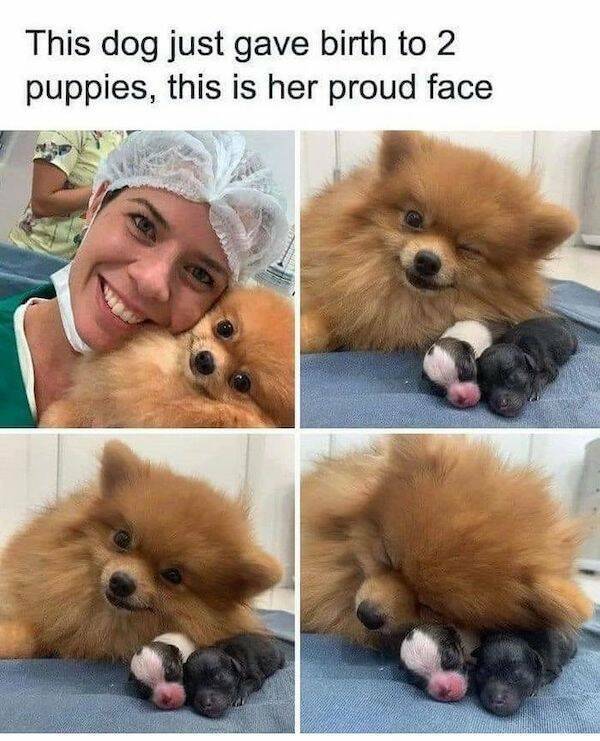 image.jpeg.80a4dc9f965a4efc9131c6104eb6ef3c.jpeg
