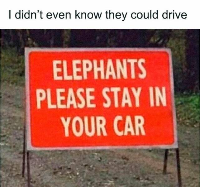 image.jpeg.8539e2979badea16616a75f5148bb0e0.jpeg