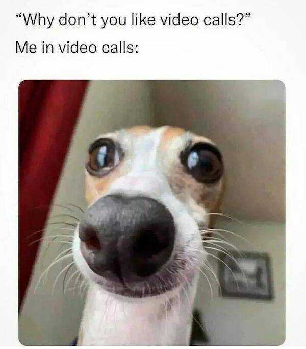 image.jpeg.a2ce9989a4365af0e813e088119f8b67.jpeg