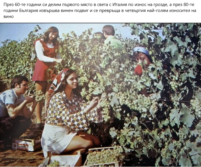 image.png.bed35f69a1708261ad13ce89d180b39a.png