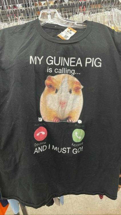 image.thumb.jpeg.122bcf29bb515361c0cc94f4933af78c.jpeg