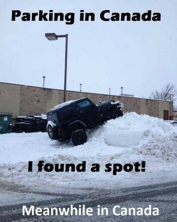 image.thumb.jpeg.e8779579203ebfba6ff50f45497b3271.jpeg