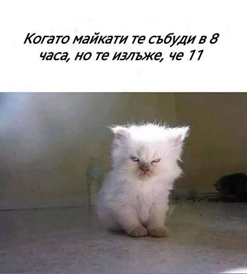 8h.jpg.bcd6df1a42dec3b4a33c7ee28ad07840.jpg