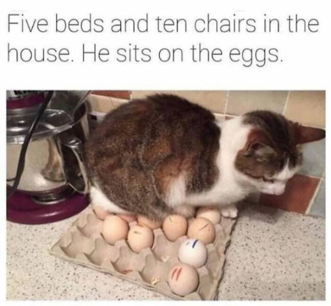 image.jpeg.2d7ee54ae7d16a91898026446b21545d.jpeg
