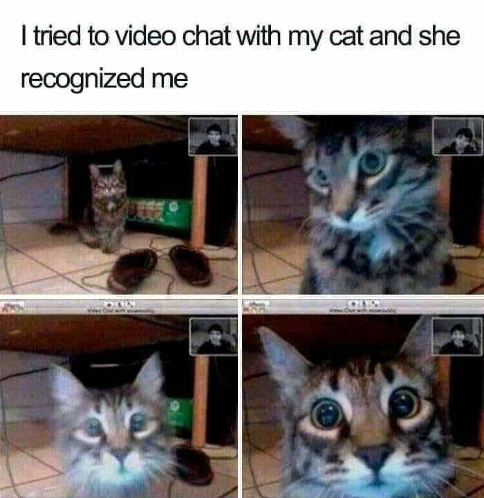 image.jpeg.6caa4d1c78f8c42e4aa92438336d86e2.jpeg