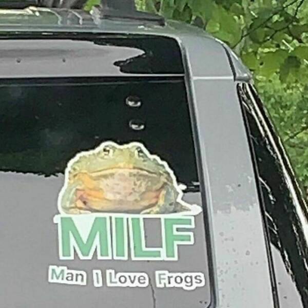 image.jpeg.fd7454bf565a0fb883f03d5aa9187fab.jpeg
