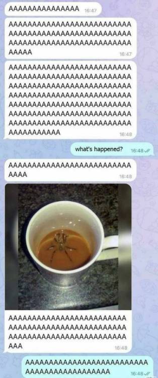 image.thumb.jpeg.a126af6087d9f3b1d28d999fc59aada1.jpeg