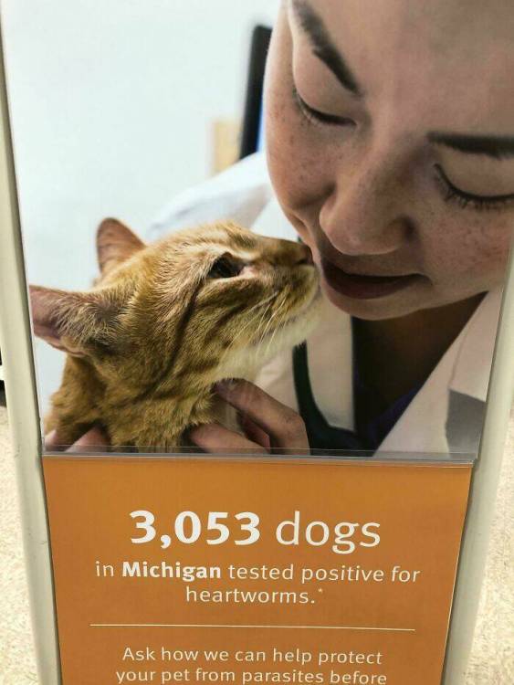 image.thumb.jpeg.d82494dc8df7226fedfed3dd6d966a54.jpeg