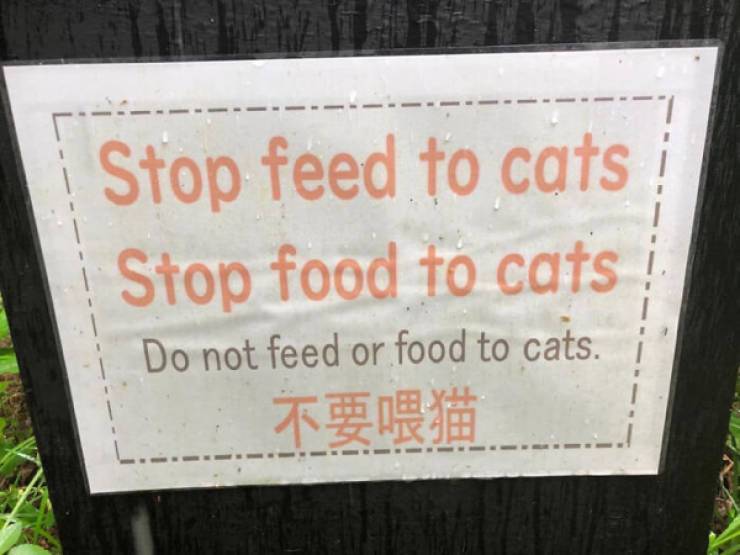 image.jpeg.1cc540cca68de6ebcebc2bdbdd216f5e.jpeg