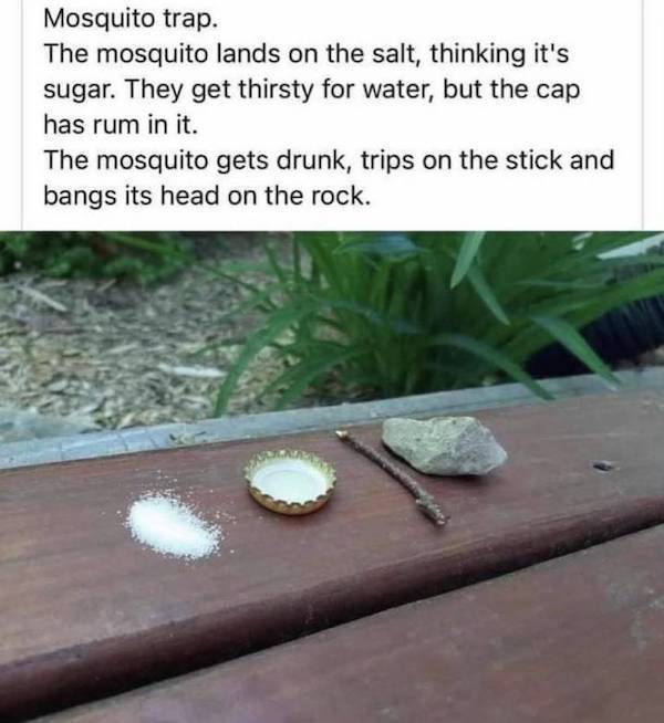 image.jpeg.47b56ef0fee51b0b147e4dc3e7e69836.jpeg