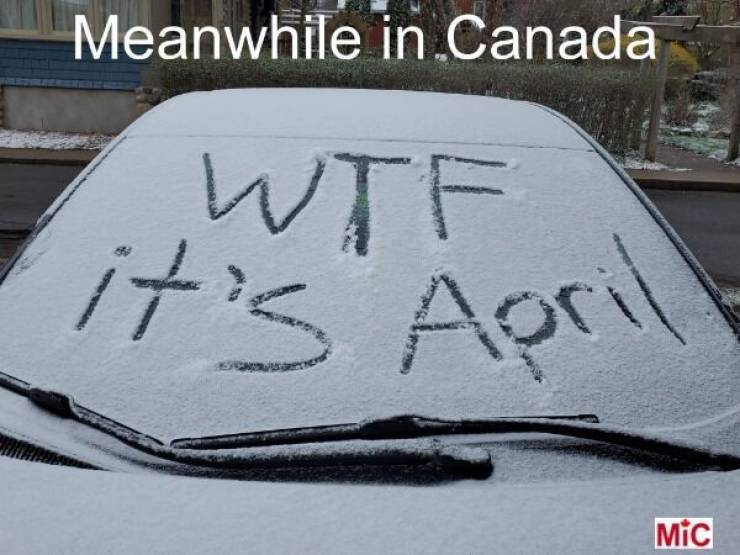 image.jpeg.7fce5030471455258c8fa4fe80d29618.jpeg