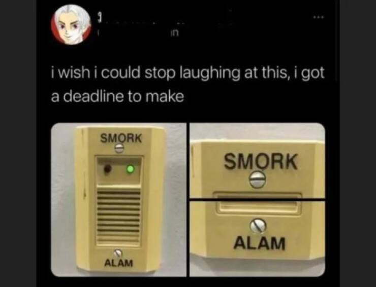 image.jpeg.cddf40ffda252d72d91af289d12928d5.jpeg