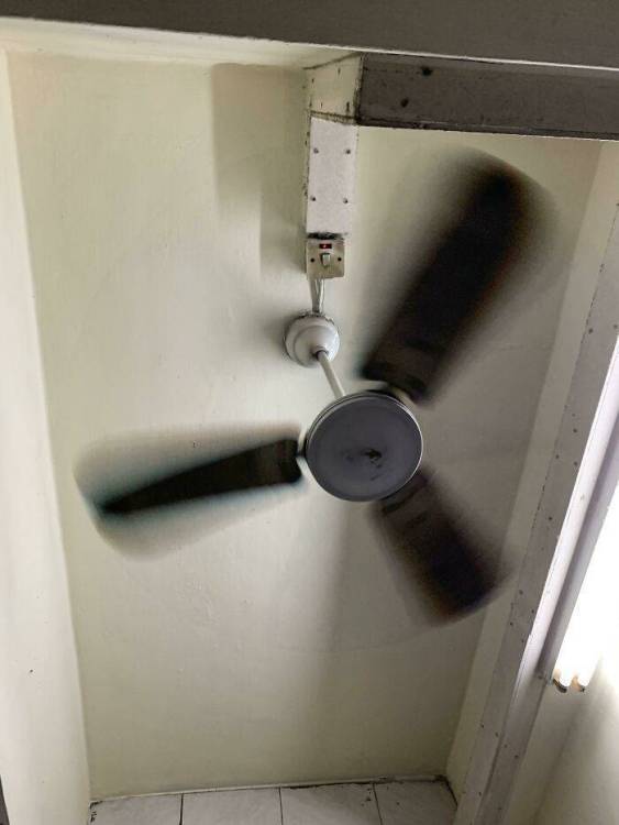 image.thumb.jpeg.0b8ef4e3c748175db2b365c8014b420b.jpeg