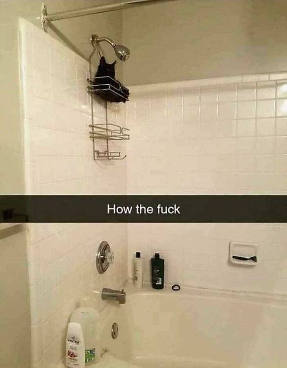 image.thumb.jpeg.0cefa1d713bbe46700897926a584caa8.jpeg