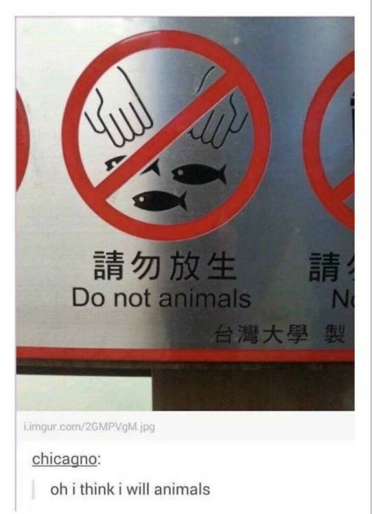 image.thumb.jpeg.1e5b14b302d3e0ee30e4e00c791c9017.jpeg