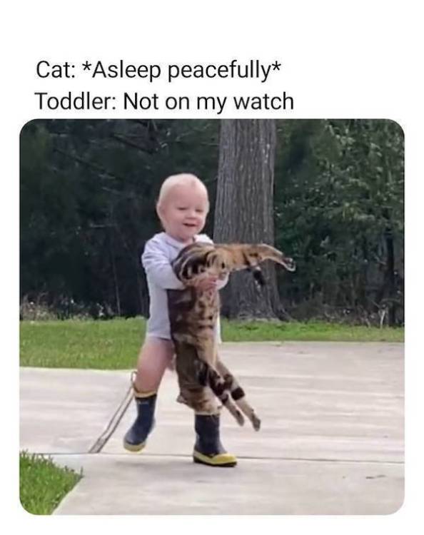 image.thumb.jpeg.2548c0ba746f23f7939fb57d1a34b2d7.jpeg